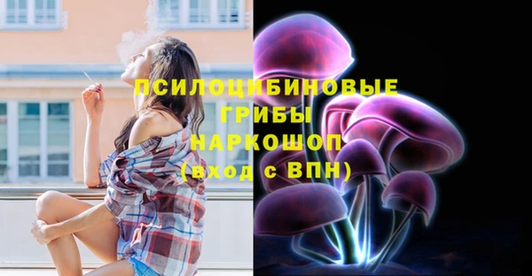 стаф Арсеньев