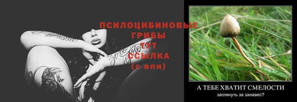 стаф Арсеньев