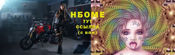 стаф Арсеньев