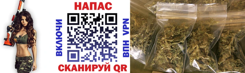 Конопля планчик  дарк нет состав  Нововоронеж 